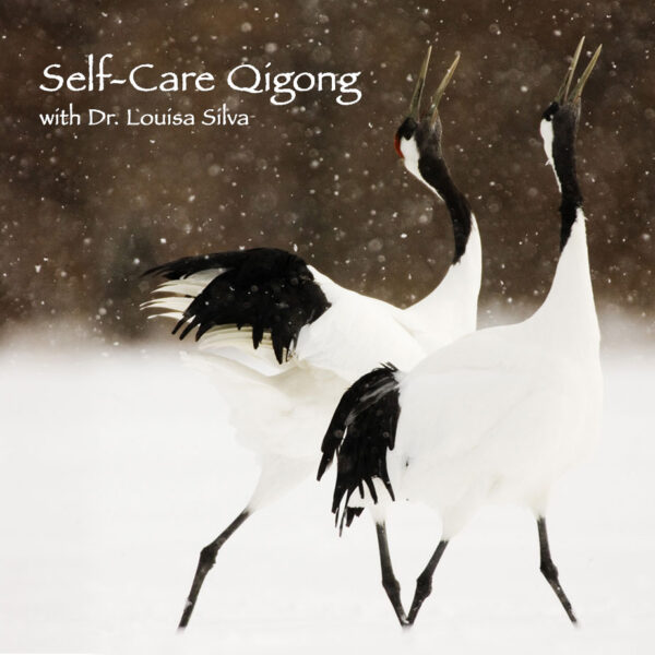 Self-care Qigong - Online Video